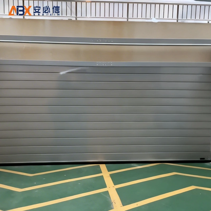榆林市感应高速门